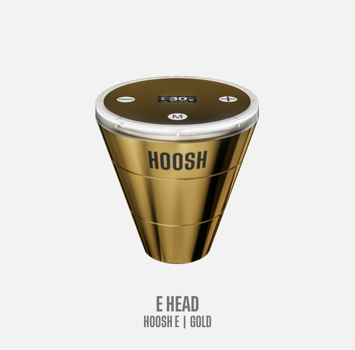 [202004] E-HEAD GOLD